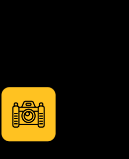 categories_image_video